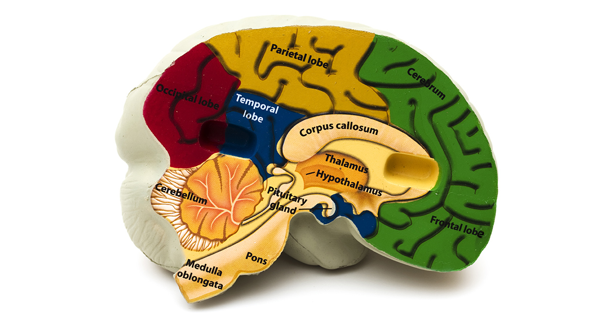 temporal lobectomy