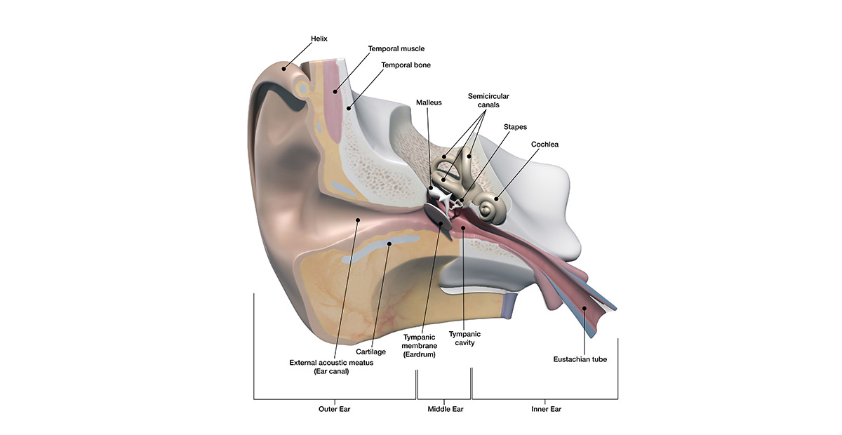 myringotomy surgery