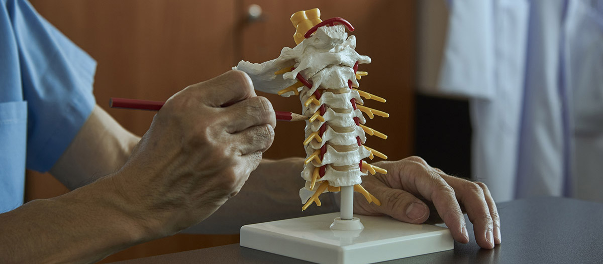 spine physicians